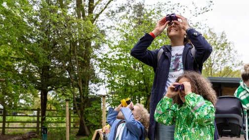 Looking through binoculars at Quarry Bank, Cheshire